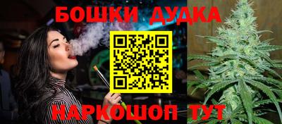 мдпв Моздок