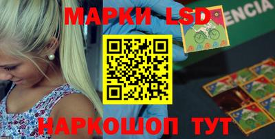 стаф Можга