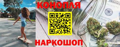стаф Можга