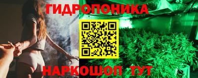 стаф Можга