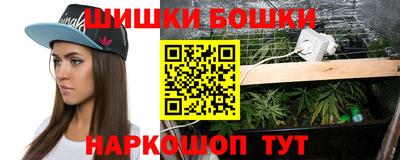 стаф Можга