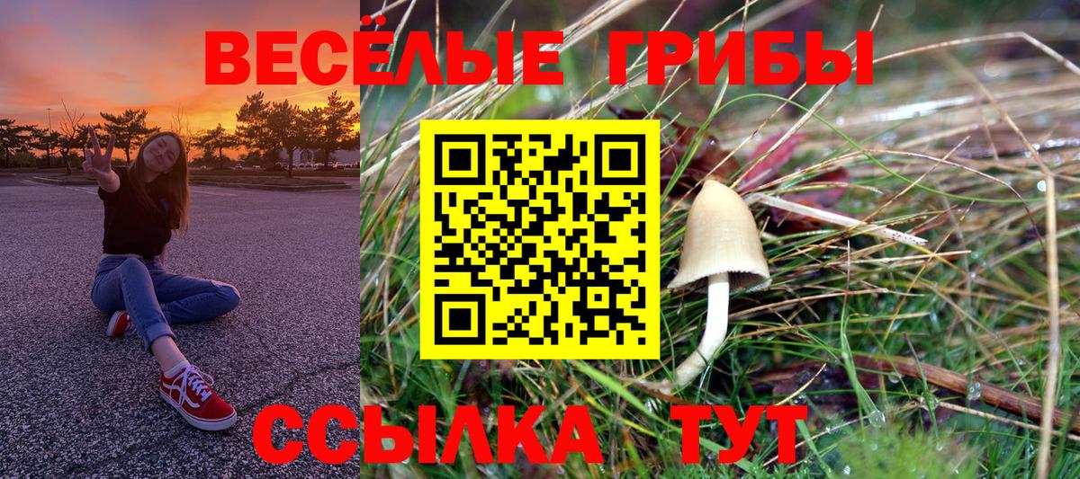 Уссурийск  Псилоцибиновые грибы мицелий  Галлюциногенные грибы прущие грибы  Вход с VPN 